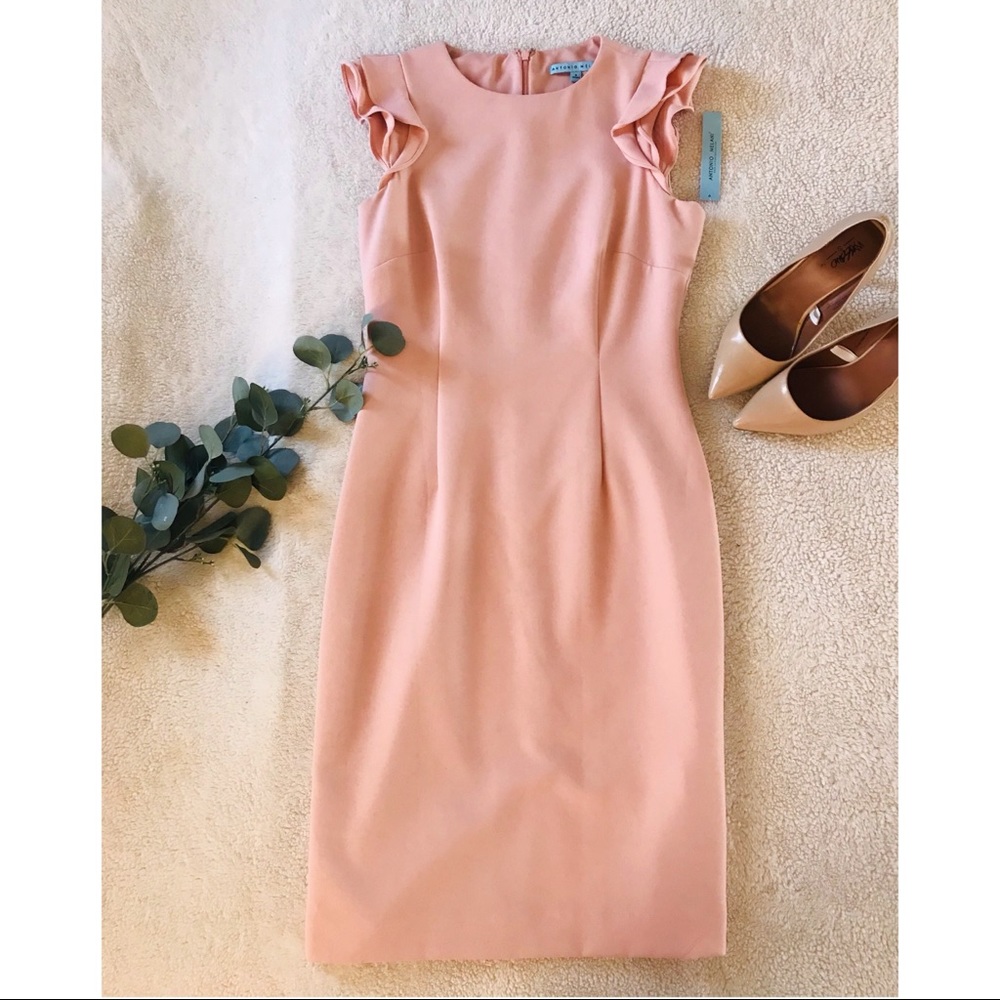 Antonio Melani Molly Ruffle Dress